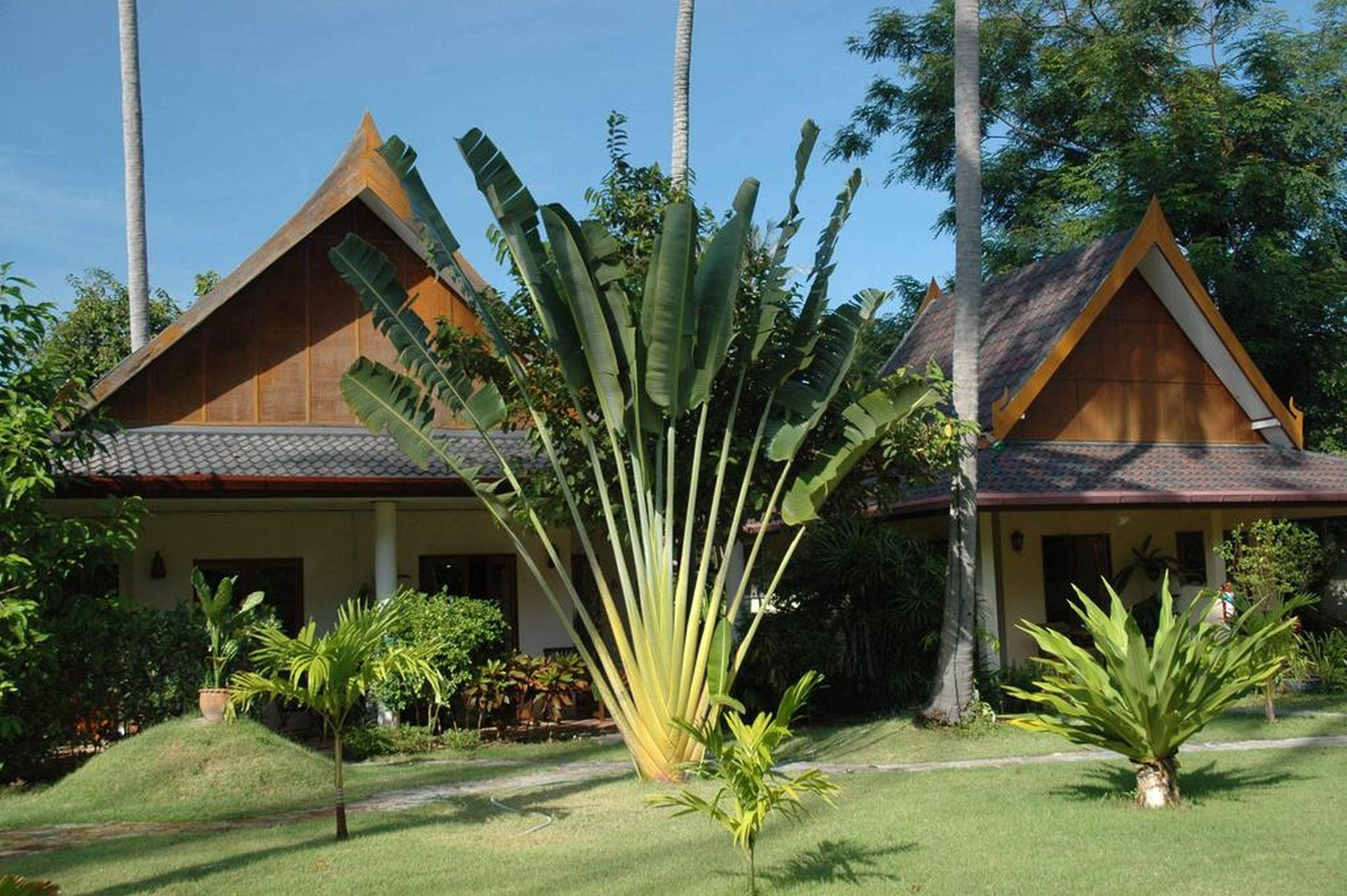 Palm Garden Resort Rawai Exteriör bild