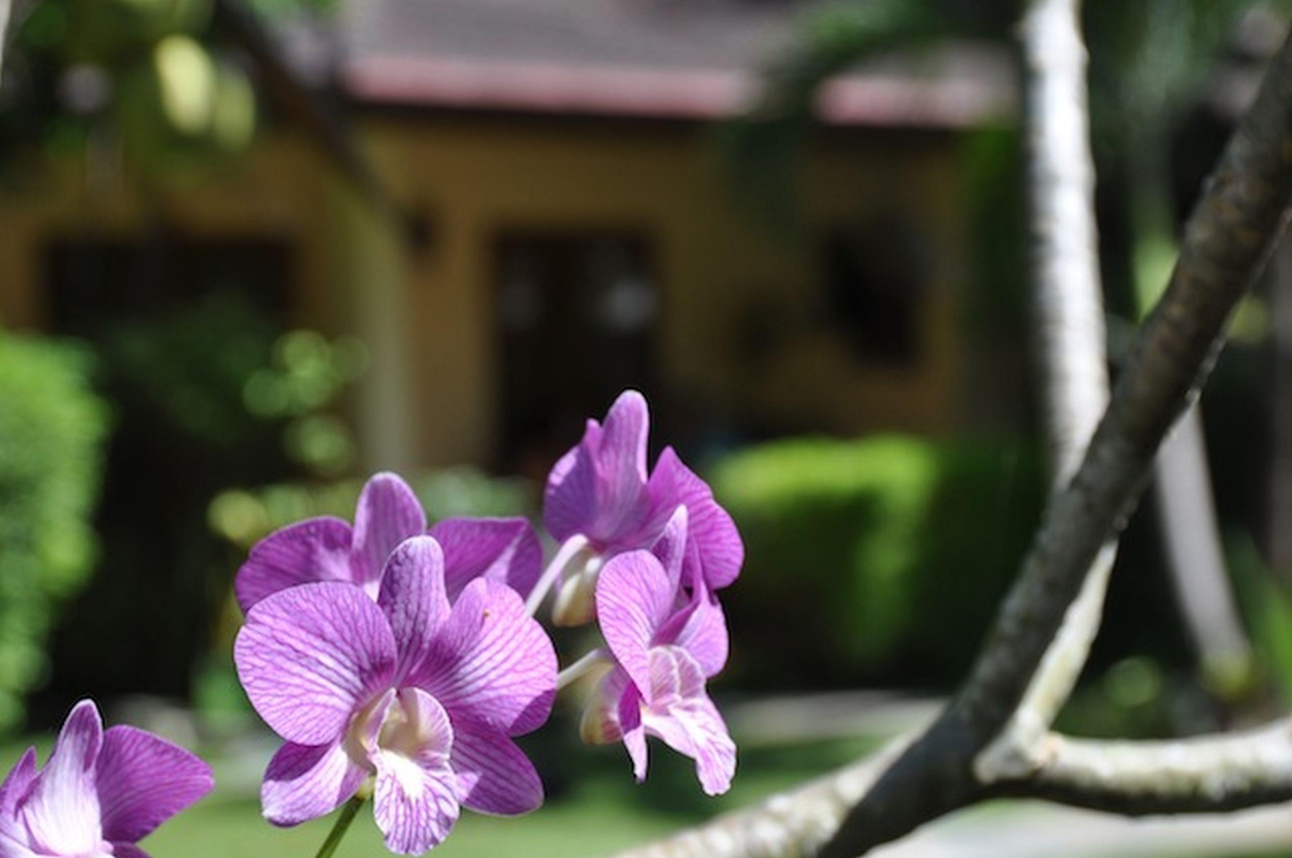 Palm Garden Resort Rawai Exteriör bild