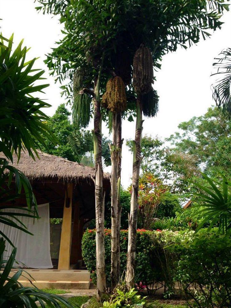 Palm Garden Resort Rawai Exteriör bild