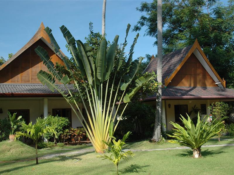 Palm Garden Resort Rawai Exteriör bild